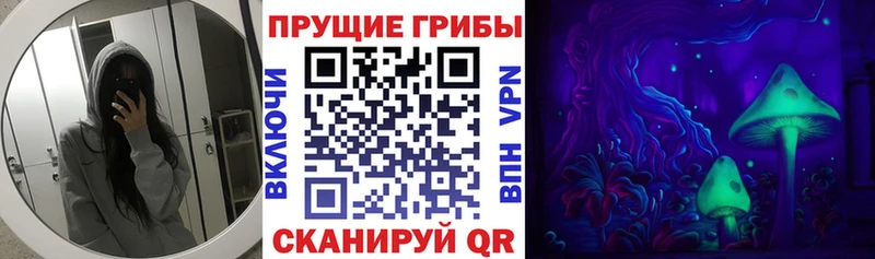 Купить закладки  Заинск  Галлюциногенные грибы MAGIC MUSHROOMS 
